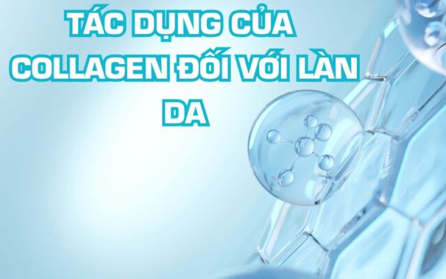 tác dụng của collagen đối với làn da